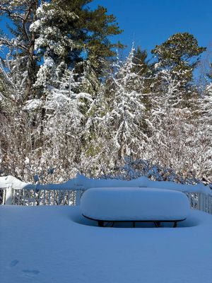 Twinkie
Lawrence Kupferschmidt shared this photo of a giant Twinkie left by the recent storm.
