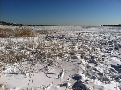 Blizzard of 2013
A more scenic side of the blizzard, Aucoot Cove on Sunday February 10. Photos by Shawn Sweet
