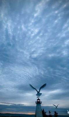 Ned's Point
Photo by Steve Chicco
