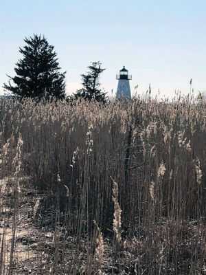 What are you up to?
We asked folks what they’ve been up to and the response was overwhelming and positive. Stay safe folks!
