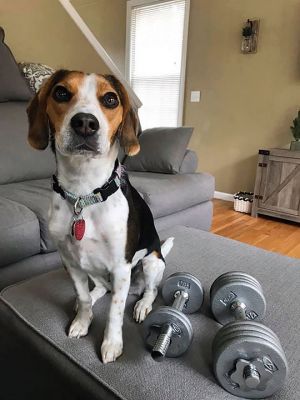 What are you up to?
We asked folks what they’ve been up to and the response was overwhelming and positive. Stay safe folks!
