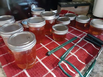 Weekend Fun
Many of our readers shared what they were up to this weekend. Share your moments with our Facebook Group.
