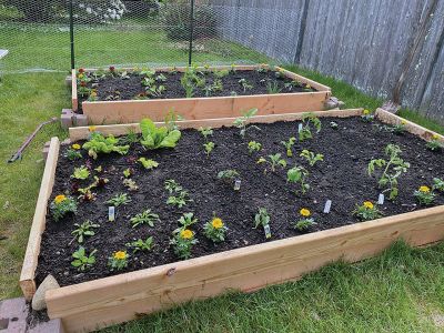 Weekend Fun
Many of our readers shared what they were up to this weekend. Share your moments with our Facebook Group.
