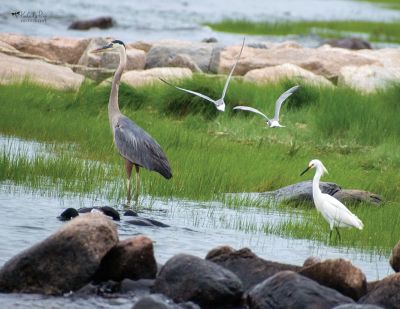 Weekend Fun
What did you do on the weekend? We asked our Facebook fans and these are the memories they shared.
