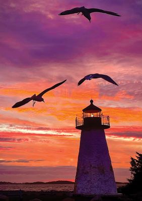 Ned’s Point
Steve Chicco shared this photo of Ned’s Point at sunrise.
