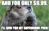 Filename=10_2019_Groundhog.jpg
Filesize=175KiB
Dimensions=1091x720
Date added=Jan 30, 2019 10_2019_Groundhog.jpg