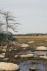 Filename=11_15_cover_1115.jpg
Filesize=400KiB
Dimensions=1050x1575
Date added=Nov 02, 2011 11_15_cover_1115.jpg