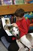 Filename=AMOS_0388.jpg
Filesize=102KiB
Dimensions=480x720
Date added=Jan 18, 2017 AMOS_0388.jpg