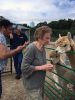 Filename=Alpacas_7928.jpg
Filesize=118KiB
Dimensions=540x720
Date added=Sep 29, 2021 Alpacas_7928.jpg