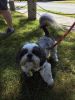 Filename=Animals-071422.jpg
Filesize=153KiB
Dimensions=540x720
Date added=Jul 13, 2022 Animals-071422.jpg