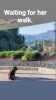 Filename=Animals_Kyle-Harris.jpg
Filesize=87KiB
Dimensions=405x720
Date added=Apr 29, 2020 Animals_Kyle-Harris.jpg