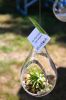 Filename=ArtsInPark_0023.jpg
Filesize=104KiB
Dimensions=648x972
Date added=Jul 17, 2014 ArtsInPark_0023.jpg