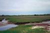 Filename=BIRDS_5207.jpg
Filesize=156KiB
Dimensions=1200x800
Date added=May 30, 2012 BIRDS_5207.jpg