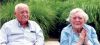 Bernard-and-Elizabeth-28Milliken29-Klim.jpg