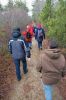 BogWalk_8428.jpg