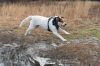 Filename=BogWalk_8644.jpg
Filesize=303KiB
Dimensions=1082x720
Date added=Jan 20, 2016 BogWalk_8644.jpg