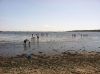 Filename=CBBQuahogEvent---3.jpg
Filesize=89KiB
Dimensions=648x484
Date added=Aug 13, 2014 CBBQuahogEvent---3.jpg