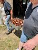 ChickenBake_7343.jpg