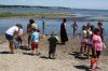 Filename=CoastalExplorers_5772.jpg
Filesize=112KiB
Dimensions=648x432
Date added=Aug 05, 2015 CoastalExplorers_5772.jpg