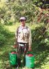 Filename=Coffee-Tony-Tate-working-fields-070424.jpg
Filesize=215KiB
Dimensions=513x720
Date added=Jul 03, 2024 Coffee-Tony-Tate-working-fields-070424.jpg