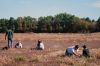 Filename=Cranberry_4116.jpg
Filesize=92KiB
Dimensions=648x432
Date added=Oct 29, 2014 Cranberry_4116.jpg