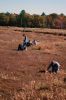 Filename=Cranberry_5417.jpg
Filesize=230KiB
Dimensions=648x972
Date added=Oct 29, 2014 Cranberry_5417.jpg