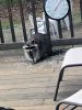 Filename=Deb-Silva_2436.jpg
Filesize=111KiB
Dimensions=540x720
Date added=May 13, 2020 Deb-Silva_2436.jpg