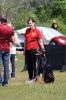 Filename=Dog_Protection_7761.jpg
Filesize=102KiB
Dimensions=480x720
Date added=Jun 03, 2016 Dog_Protection_7761.jpg