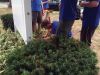 Filename=EagleScout_1795.jpg
Filesize=267KiB
Dimensions=960x720
Date added=Aug 18, 2016 EagleScout_1795.jpg