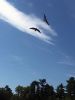 Filename=Eagles.jpg
Filesize=49KiB
Dimensions=540x720
Date added=Sep 05, 2018 Eagles.jpg