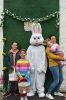 Filename=EasterEgg_1319-Ashlyn-Buzniak.jpg
Filesize=114KiB
Dimensions=480x720
Date added=Apr 20, 2022 EasterEgg_1319-Ashlyn-Buzniak.jpg