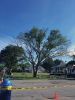 Filename=ElmTree.jpg
Filesize=128KiB
Dimensions=540x720
Date added=Jul 03, 2019 ElmTree.jpg