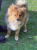 Filename=FB_Judy-Nadeau.jpg
Filesize=160KiB
Dimensions=540x720
Date added=Apr 22, 2020 FB_Judy-Nadeau.jpg