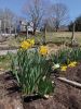 Filename=FB_Prince-Snow-Farm.jpg
Filesize=183KiB
Dimensions=540x720
Date added=Apr 22, 2020 FB_Prince-Snow-Farm.jpg