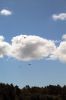 Float-Fly-082423-11_17_08.jpg
