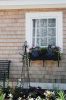 Filename=Gardens_46_58.jpg
Filesize=102KiB
Dimensions=480x720
Date added=Jul 03, 2018 Gardens_46_58.jpg