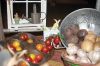 Filename=GrangeFair_0623.jpg
Filesize=170KiB
Dimensions=1080x720
Date added=Aug 23, 2018 GrangeFair_0623.jpg