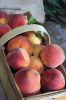 Filename=Grange_8214.jpg
Filesize=83KiB
Dimensions=480x720
Date added=Aug 21, 2019 Grange_8214.jpg