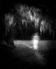 Filename=HALLO2016_17.jpg
Filesize=115KiB
Dimensions=648x800
Date added=Oct 26, 2016 HALLO2016_17.jpg