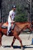Filename=HHH78.jpg
Filesize=615KiB
Dimensions=1200x1800
Date added=May 06, 2010 HHH78.jpg