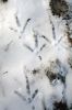 Filename=HIKE_2184.jpg
Filesize=141KiB
Dimensions=648x972
Date added=Mar 19, 2014 HIKE_2184.jpg