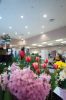 Filename=Habitat_Show-14.jpg
Filesize=99KiB
Dimensions=648x976
Date added=May 01, 2014 Habitat_Show-14.jpg
