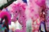 Filename=HarborDays2014_15.jpg
Filesize=74KiB
Dimensions=864x574
Date added=Jul 22, 2014 HarborDays2014_15.jpg