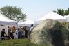 Filename=HarborDays2_5601.jpg
Filesize=89KiB
Dimensions=648x432
Date added=Jul 22, 2015 HarborDays2_5601.jpg