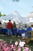 Filename=HarborDays2_5629.jpg
Filesize=168KiB
Dimensions=648x972
Date added=Jul 22, 2015 HarborDays2_5629.jpg