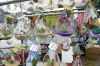 Filename=HarborDays_1985.jpg
Filesize=110KiB
Dimensions=648x431
Date added=Jul 22, 2015 HarborDays_1985.jpg