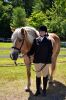 Horse_0114.jpg