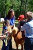 Horse_0138.jpg