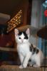 Filename=IAATA_7570.jpg
Filesize=89KiB
Dimensions=648x972
Date added=Sep 13, 2017 IAATA_7570.jpg
