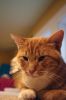 Filename=IAATA_7586.jpg
Filesize=98KiB
Dimensions=648x972
Date added=Sep 13, 2017 IAATA_7586.jpg